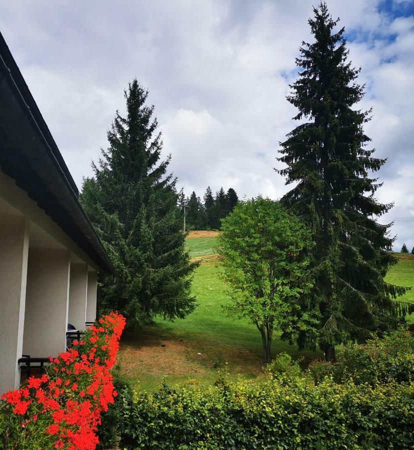 Schwarzwaldgasthof Hotel Hirschen Ibach 외부 사진
